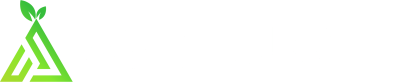 Asic Jungle